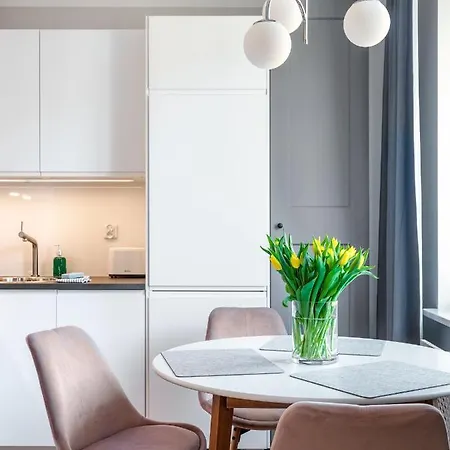 Tyzenhauz Rakowicka Street Appartement Krakau