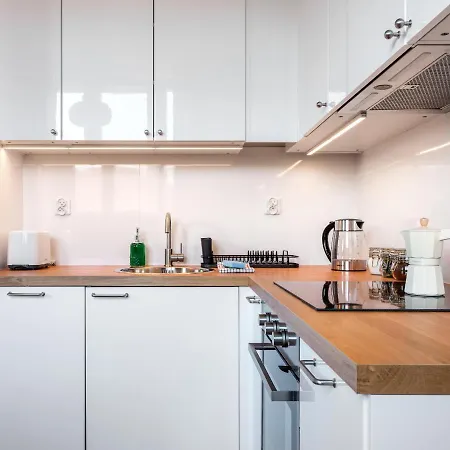 Tyzenhauz Rakowicka Street Apartment Krakow